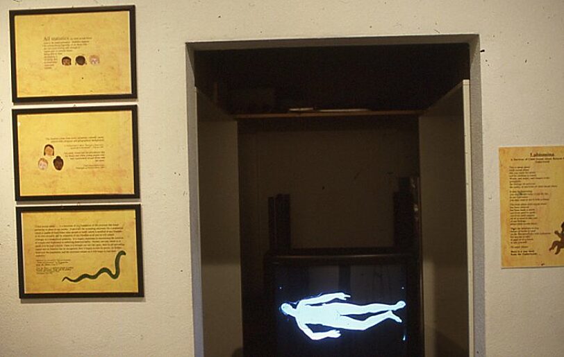 Autographed at BBK Gallery Cologne video installation, Mumtaz Karimjee