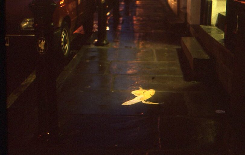 On Location Litter Computer Animated Projection Wood-Street Liverpool, Susan Collins