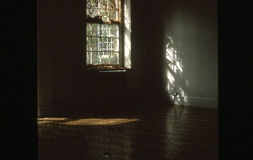 Somewhere in Particular Undoing Good, Susan Fitch