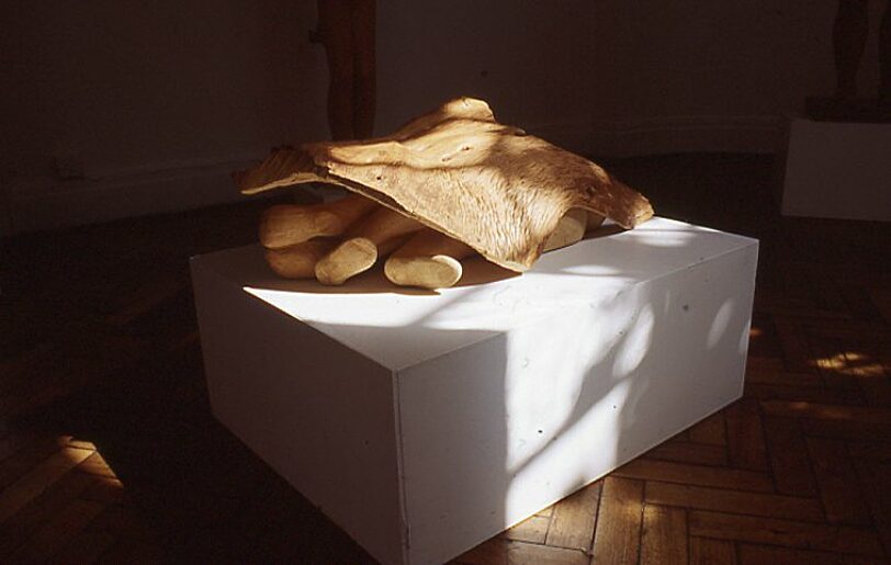 Juginder Lamba, From The Wood exhibition