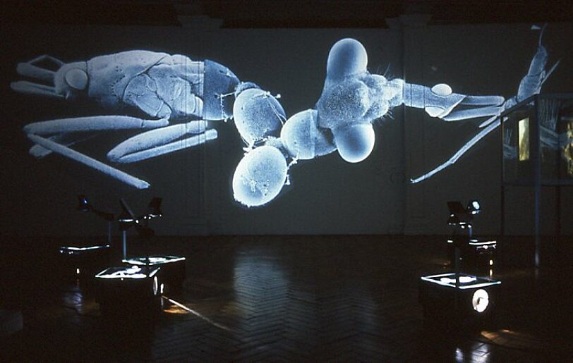 Science Friction: Art from Cologne exhibition, with work by Harald Fuchs