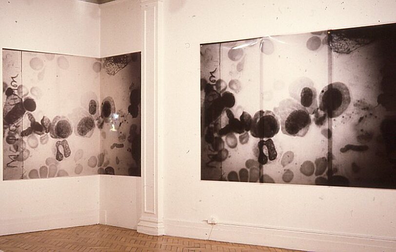 Missed Representations, Alistair Raphael