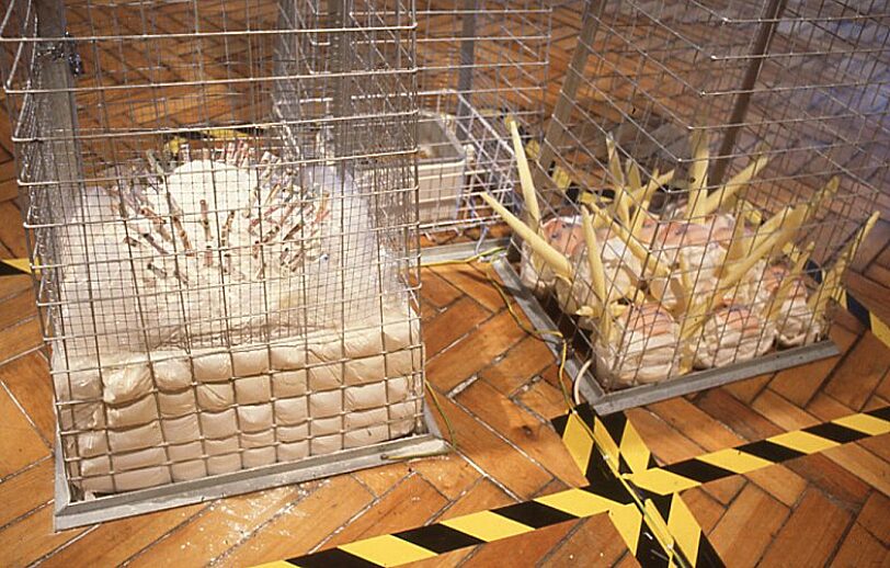 Virtual Duality exhibition by Nina Edge