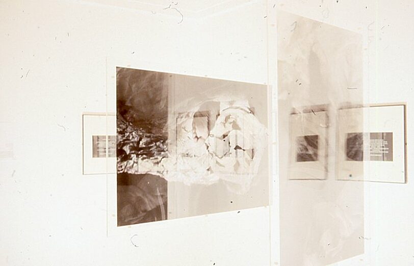 Intimate Distance, Zarina Bhimji