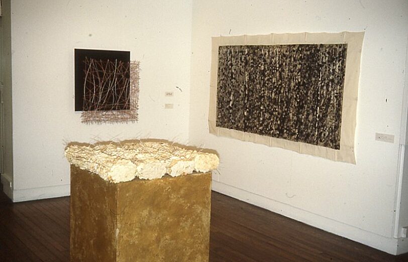 Restless Shadows Contemporary Japanese Fibre works