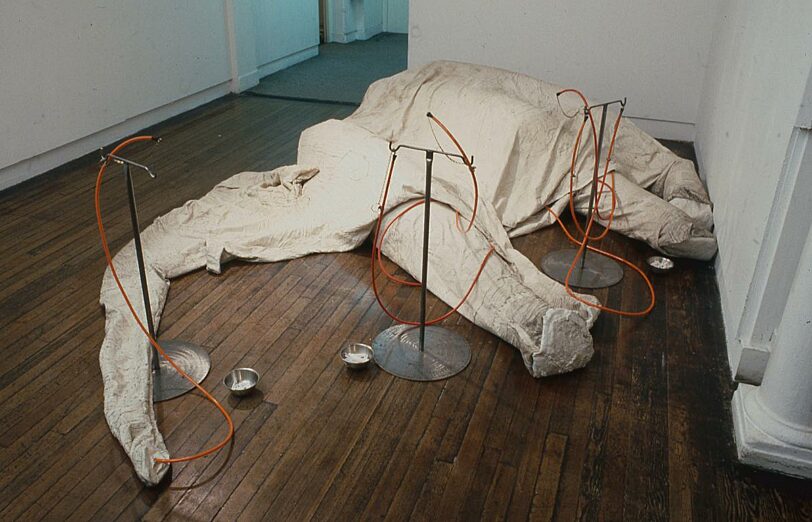 Trace,Liverpool Biennial