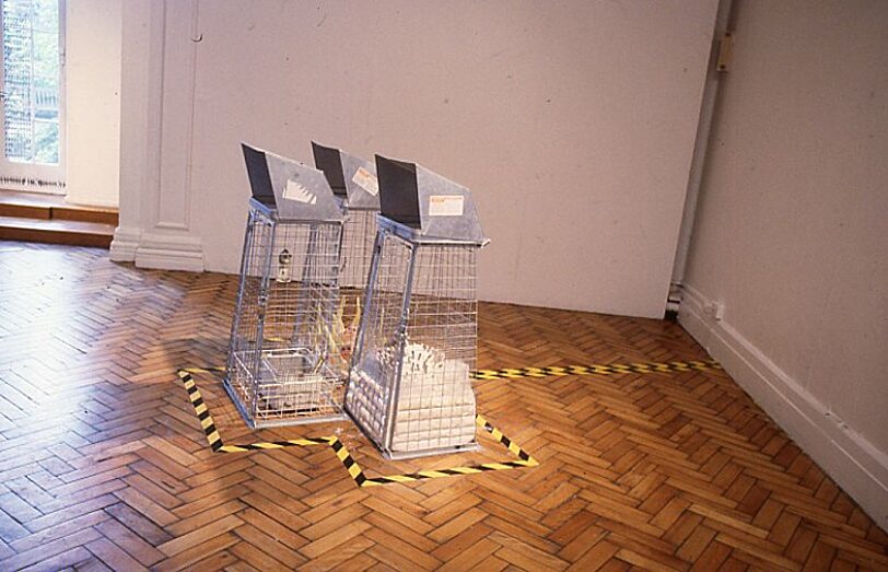 Virtual Duality exhibition by Nina Edge