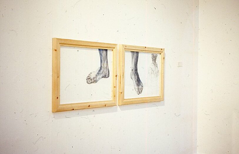 Lesley Sanderson, These Colours Run exhibition