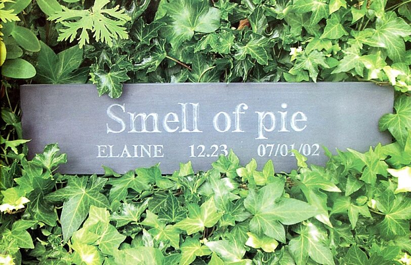 Now Then with Leo Fitzmaurice and Arts For All.