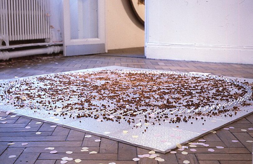Second Wave, Nicole Polonsky