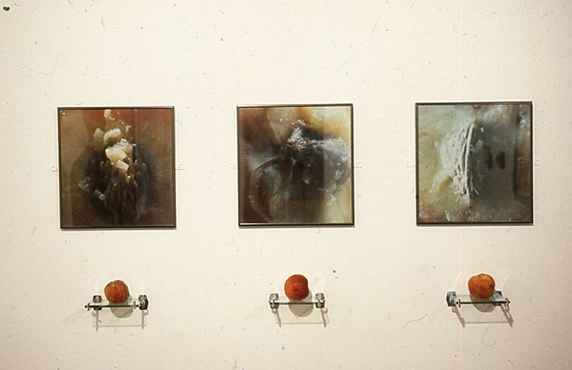 House Painters exhibition with work by Alison Jones