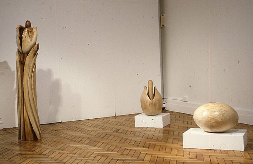 Juginder Lamba, From The Wood exhibition