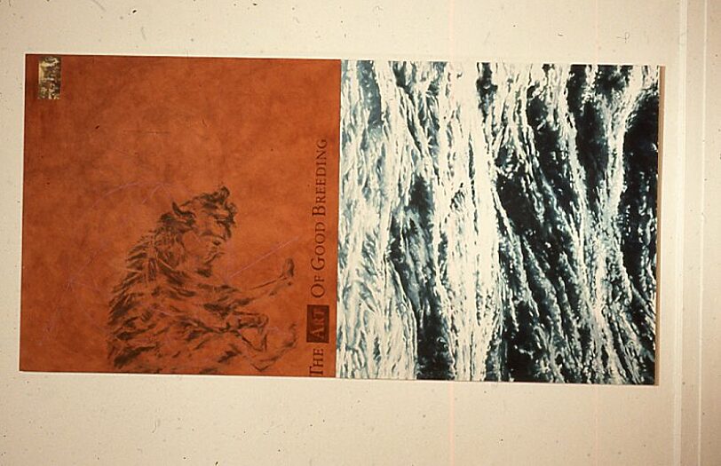 On Stream Part Two exhibition with work by Sara Gibbons