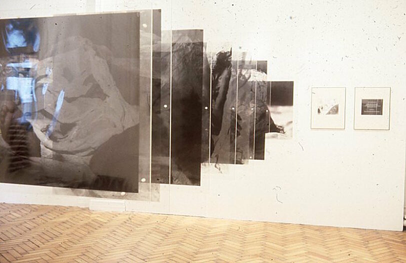 Intimate Distance, Zarina Bhimji