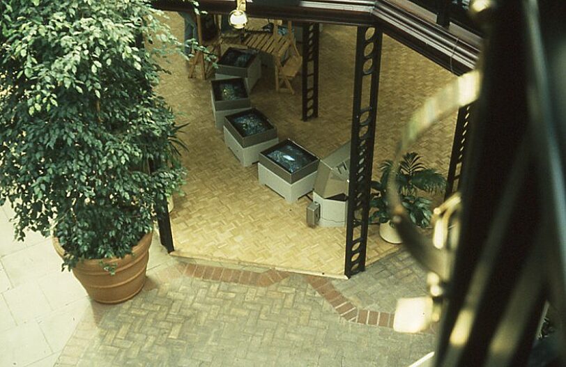 New Art North West Streamline video installation offsite at Mercury Court, Chris Meigh Andrews