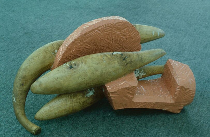 Bluecoat Summer Sculpture exhibition: Shoal by David Brodie