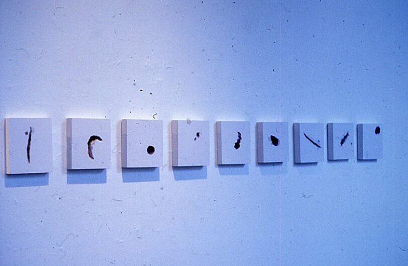 Somewhere in Particular, Suzanne Williams