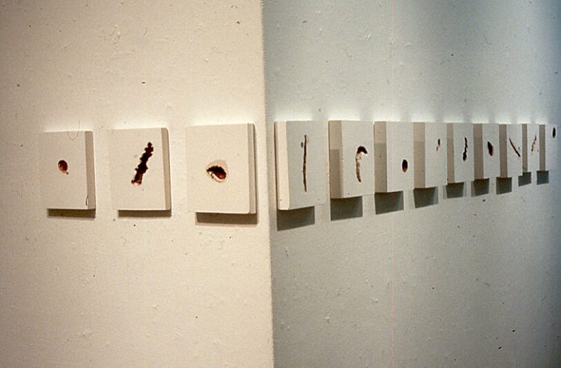 Somewhere in Particular, Suzanne Williams