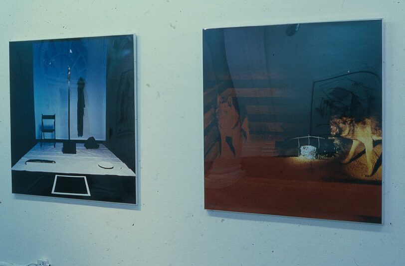 Denis Masi, installation from solo Bluecoat exhibition