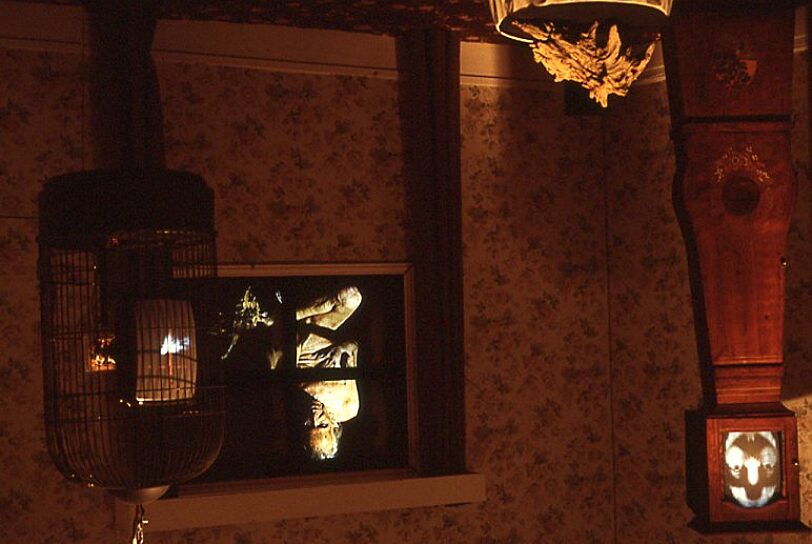 Video Positive, Cathy Vogan