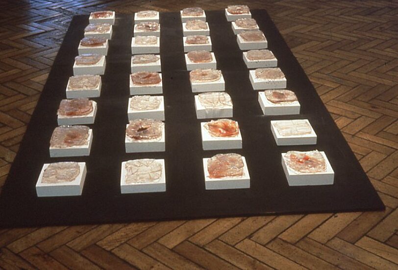 Somewhere in Particular, Suzanne Williams